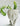 Cement Planters - Aroma Sparks
