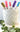 Color Me Coastal DIY Planter Kit - Plants/Planter - Aroma Sparks