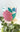 Color Me Coastal DIY Planter Kit - Plants/Planter - Aroma Sparks