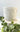 Color Me Coastal DIY Planter Kit - Plants/Planter - Aroma Sparks