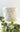 Color Me Coastal DIY Planter Kit - Plants/Planter - Aroma Sparks