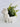 Frog Hauler Cement Planter - Aroma Sparks