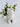 Frog Hauler Cement Planter - Aroma Sparks