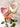 Rose Bud Cement Candle - Aroma Sparks