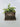 Vintage Typewriter Planter - Plants/Planter - Aroma Sparks