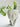 Deep Thought Girl Planter - Plants/Planter - Aroma Sparks