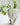 Cement Planters - Aroma Sparks