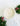 holiday candles