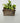 Typewriter Planter