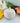 Ambered White Pumpkin Candle