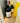 Black Barn Tie Fragrance Oils Destash - Open Bottle - (8oz)