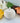 Ambered White Pumpkin Candle - Candle - Aroma Sparks