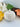 Ambered White Pumpkin Candle - Candle - Aroma Sparks