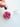 Aroma Flower Diffuser - Aroma Sparks