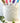 Color Me Coastal DIY Planter Kit - Plants/Planter - Aroma Sparks