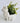 Frog Hauler Cement Planter - Aroma Sparks