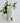 Frog Hauler Cement Planter - Aroma Sparks