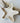 Starfish Jewelry Dish Tray - Home Decor - Aroma Sparks
