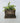 Vintage Typewriter Planter - Plants/Planter - Aroma Sparks