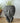 Deep Thought Girl Planter - Plants/Planter - Aroma Sparks