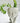 Deep Thought Girl Planter - Plants/Planter - Aroma Sparks